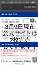 2枚セット【3月16日】USJ エクスプレスパス ユニバーサルスタジオジャパン ユニバ チケット 任天堂エリア ニンテンドー マリオ ミニオン_画像3