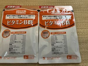 【賞味期限2026/1月まで】2個セット 小林製薬 ビタミンB群 お徳用 90日分