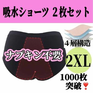 吸水ショーツ サニタリーショーツ ナプキン不要 生理用品 防災グッズ 尿もれ