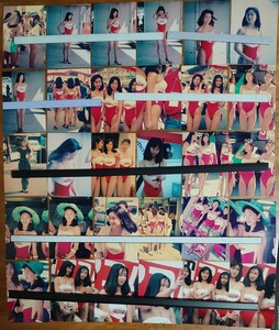 石山恵利子　貴重なACOM双子姉妹の写真入り30枚セット　ネガからプリントしています。