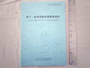 0025583【調査報告書】野下・新開遺跡発掘調査報告 富山県文化振興財団 2016年 埋蔵文化財発掘調査報告第70集 58頁+図版14頁