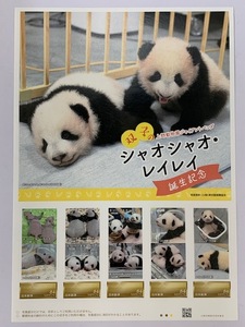 ★☆額面～【美品・未使用】上野動物園 ジャイアントパンダ シャオシャオ・レイレイ 誕生記念 記念切手 フレーム切手 1シート☆★