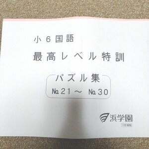 浜学園 最高レベル特訓 国語 パズル集