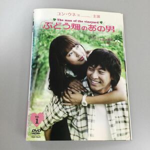 0378 ぶどう畑のあの男　全8巻　レンタル落ち　DVD 中古品　ケースなし　ジャケット付き