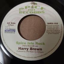 J. C. Lodge - You're Gonna Need Me // Spice Isle Records 7inch / June_画像2
