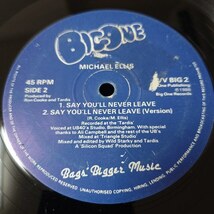 Michael Ellis - All My Love For You / Say You'll Never Leave // Rads Records 12inch_画像2