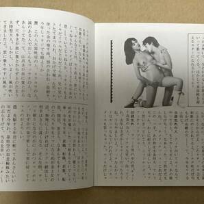 にっかつ（日活）1984年小冊子 チラシ 五月みどり表紙 「奥様はお固いのがお好き」「女猫」「美少女プロレス失神10秒」の画像6