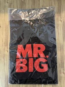 Mr.Bigライブ グッズ 