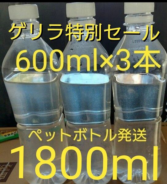 ゾウリムシ　1800ml　(600×3本）。 餌 メダカ 金魚　