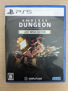 PS5 Endless Dungeon　エンドレスダンジョン