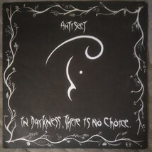 ANTISECT/IN DARKNESS,THERE IS NO CHOICE LP SPIDER LEG RECORDS UKオリジナル盤 discharge amebix chaos uk_画像1