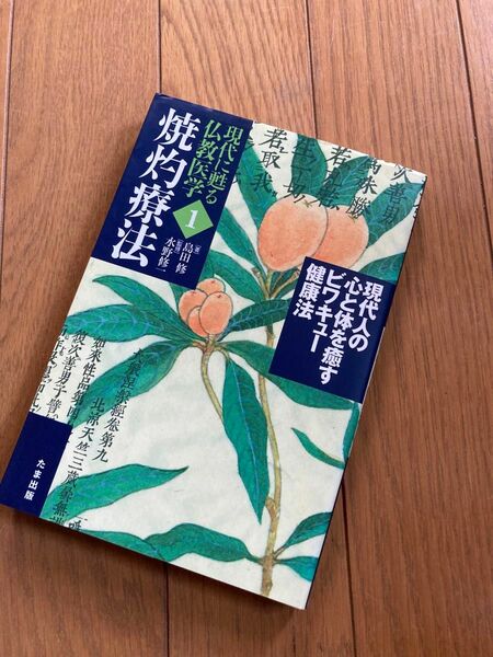 焼灼療法★現代人の心と体を癒すビワキュー健康法★たま出版