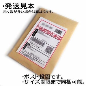 ★新着【5L】TB250 Tバックレディスショーツ サンドベージュ 両サイドチュールレース付き 光沢トリコット素材 新品未使用の画像4