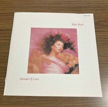 非売品 CD ケイト・ブッシュ 愛のかたち Kate Bush Hounds Of Love 愛のかたち 当時物 廃盤 見本盤 プロモ サンプル プロモーション 販促_画像6