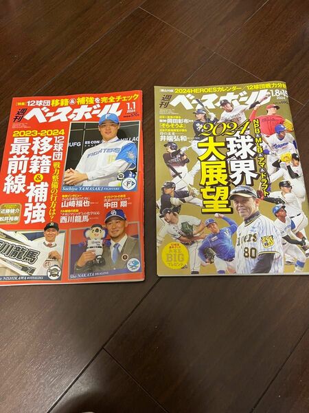 週刊ベースボール プロ野球