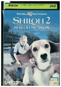 DVD ビーグル犬 シャイロ 2 レンタル落ち KKK06472