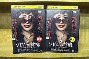 DVD ソドムの林檎 ロトを殺した娘たち 全2巻 寺島しのぶ 木村文乃 ※ケース無し発送 レンタル落ち ZQ184