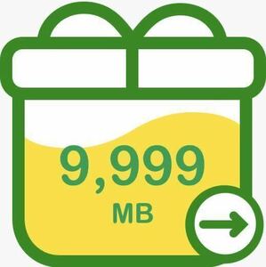 mineo バケットギフト 約10GBx3 = 約30GB （9999MB x 3 ）