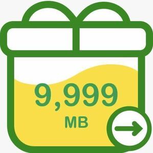 mineo バケットギフト 約30GB （9999MB x 3 ）約10GBx3