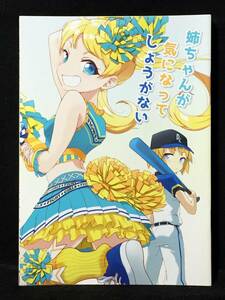 【C3440】　リリース 姉ちゃんが気になってしょうがない プリパラ　同人誌