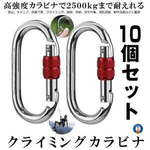 5セット 登山用 カラビナ 25KN 2個セット×5 クライミングカラビナ ハードスチール 登山用具 2-KARABI25