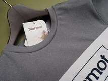 新品正規 Marmot マーモット 海外限定 接触冷感 消臭抗菌 Mision Round 半袖 Tシャツ100(L) ライトグレー(LG) TSM9002 直営店購入_画像3