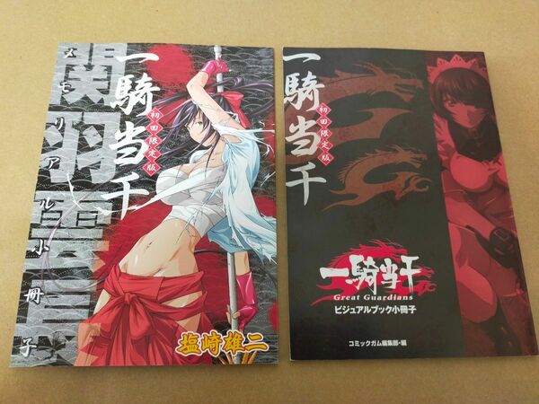 一騎当千 15　16 初回限定版 の　特典冊子 2冊　ポストカード 8枚付き