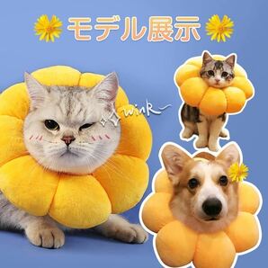 Alien Pet エリザベスカラー 猫用 犬用 ペット用品 傷舐め防止 Mの画像7