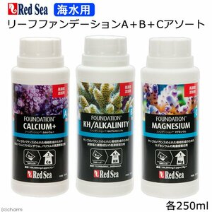 レッドシー　リーフファンデーションＡ＋Ｂ＋Ｃセット（各250ml）　　　　　送料全国一律　520円