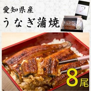 【送料無料】◆愛知県産 うなぎ蒲焼 (100g～116g) x 8尾 国産★鰻蒲焼：真空パック・冷凍　送料無料:一部地域対象外