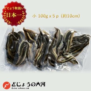  vacuum freezing loach 100gx5p pack ( small size :10cm rom and rear (before and after) ) freezing .. rose dojou old fee fish tropical fish. bait rose freezing loach * feed for freezing doji