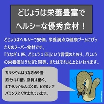 【活どじょう】小小1kｇ(約7cm・平均550匹)　泥鰌・食用・活き餌・釣り餌・生餌・熱帯魚・古代魚のエサにはドジョウ☆えさ・川魚・淡水魚_画像5