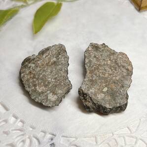 【E8957】 石質隕石 普通コンドライト 隕石 Condrite NWA869 メテオライト 天然石 パワーストーン