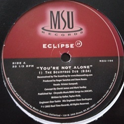 ハウス Eclipse 29 / You're Not Alone 12インチです。