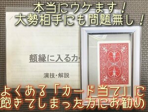 サロンマジックにうってつけ★額縁に入るカード(低難易度・丁寧な日本語解説書付き）◆マジック・手品