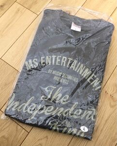 AK-69 Tシャツ 2013 ライブTシャツ グレー Lサイズ 未使用自宅保管