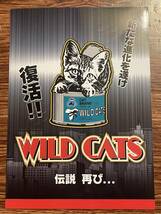 ラスター　☆ ワイルドキャッツ　☆ 非売品カタログ　1部_画像1