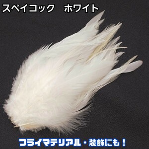 スペイコック【ホワイト】20本　フライマテリアル・装飾にも！羽根　フェザー