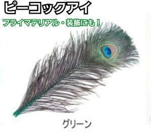 ピーコックアイ　Lサイズ(4本)　グリーン　フライマテリアル　装飾にも！　羽根　フェザー　孔雀の羽