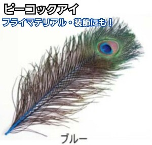 ピーコックアイ　Lサイズ(4本)　ブルーさ　フライマテリアル　装飾にも！　羽根　フェザー　孔雀の羽