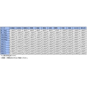 ☆フナイ/Funai 43V型 4K対応 テレビ ダブルチューナー 外付けHDD 裏番組録画対応 FL-43U3020 中古☆の画像8