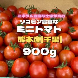 ミニトマト　野菜　熊本産　弁当　ミネラル　リコピン　産地直送　おかず