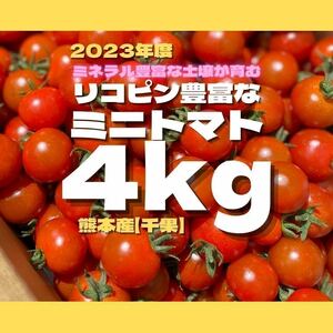 ミニトマト　4キロ　野菜　熊本　おやつ　弁当　ミネラル　リコピン