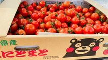ミニトマト　3キロ　野菜　熊本産　地直送　弁当　おかず　トマト　ミネラル_画像4