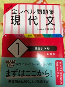 全レベル問題集 大学入試 現代文