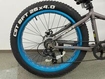 FAT BIKE ファットバイク EIZER TENUS7 Wディスクブレーキ 自転車 Simano 7段変速 26インチ_画像6