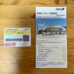 【1円スタート】【未使用】 ANA 全日空 株主優待券 1枚 2024年11月30日有効 2024年11月末 ＆ グループ優待券 送料無料