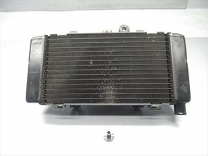 I1R6-0304 ホンダ ホーネット250 ラジエター ファン付 純正品 【MC31-1103*** 97年式 前期型 動画有】