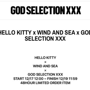 即決!!新品 黒XL ハローキティHello Kittyコラボ WIND AND SEAウィンダンシーGOD SELECTIONゴッドセレクションXXXロンTシャツ キティちゃんの画像10