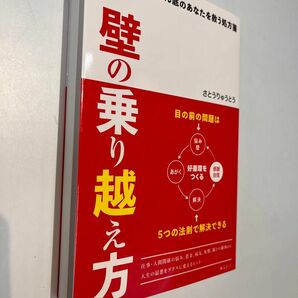 壁の乗り越え方　今、どん底のあなたを救う処方箋 さとうりゅうとう／著